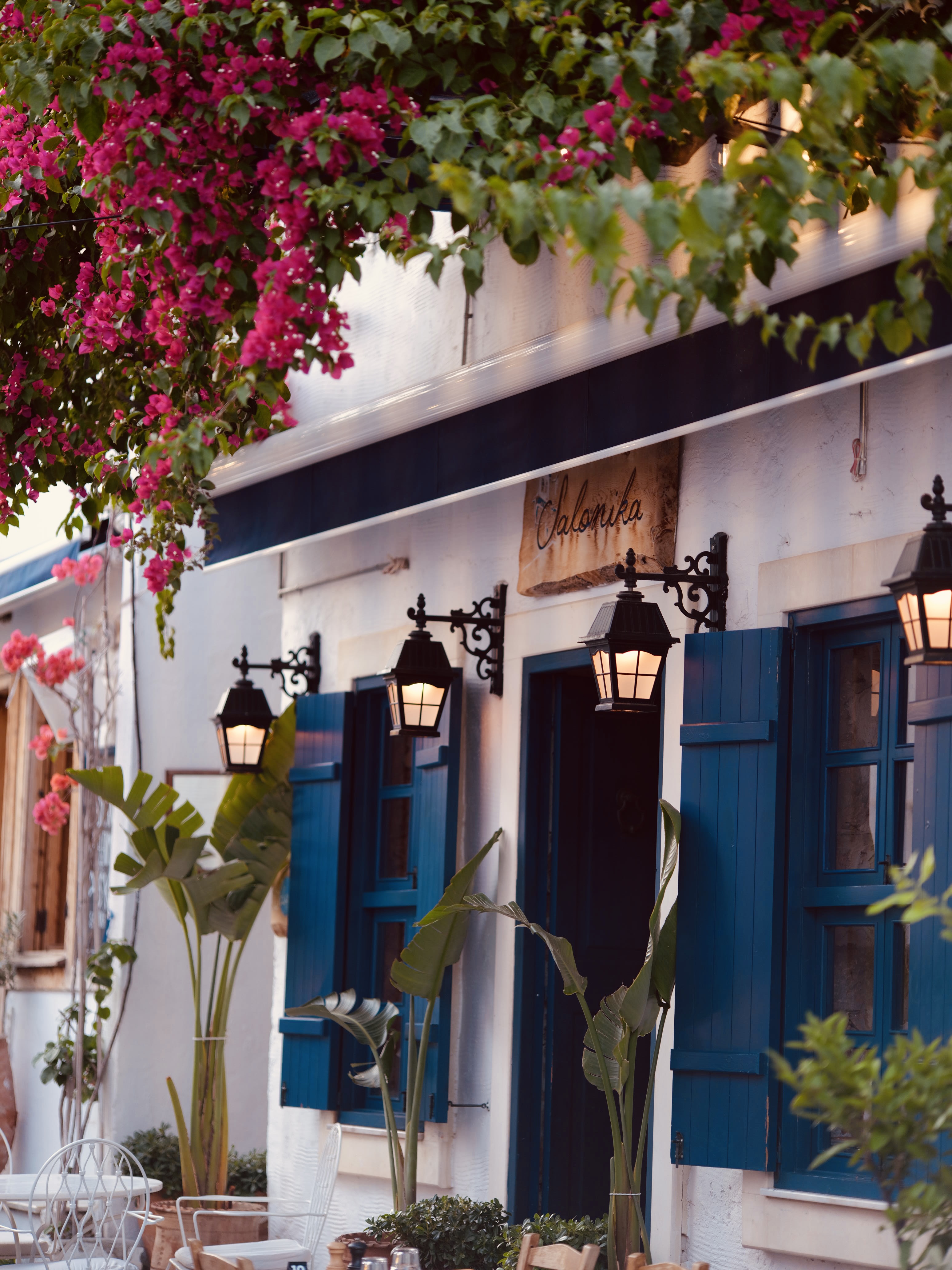 Romantic Dinner in Kalkan: Ideas for a Special Evening
