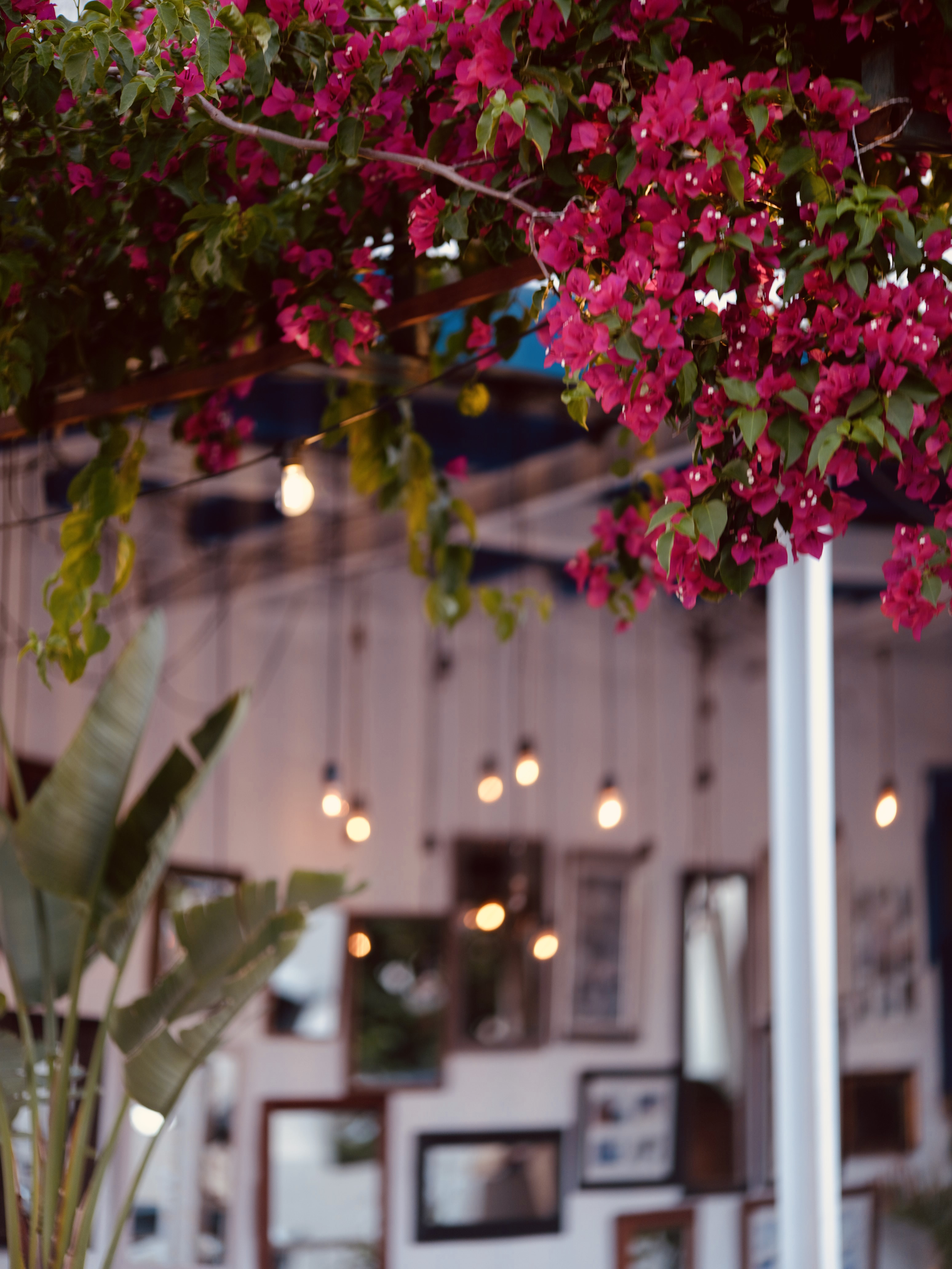 Where to Eat in Kalkan: Restaurants with a View